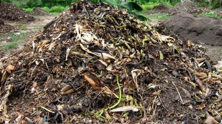 ♻️ Engrais organiques