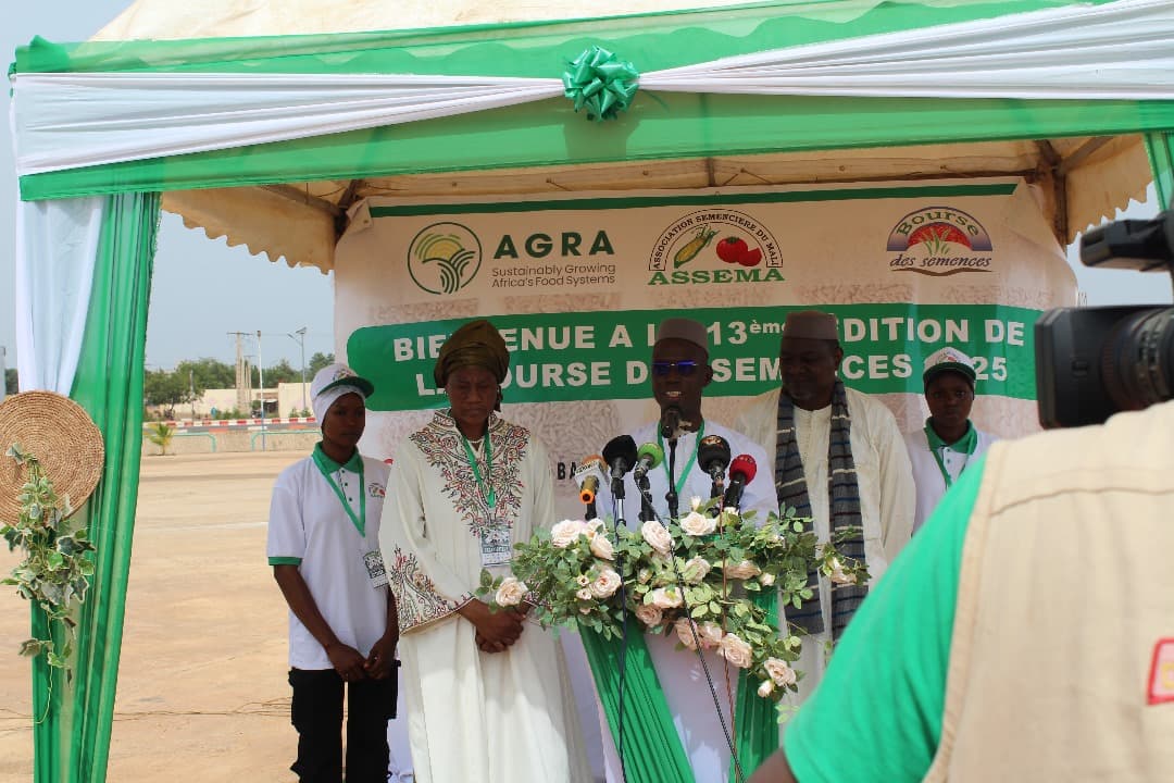 Formation sur les techniques de conservation des semencese your coding speed.